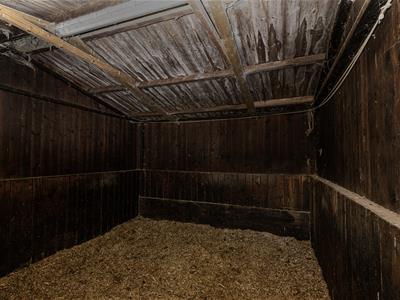 Picture 16